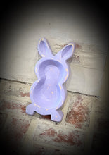 Load image into Gallery viewer, Field Bunny
